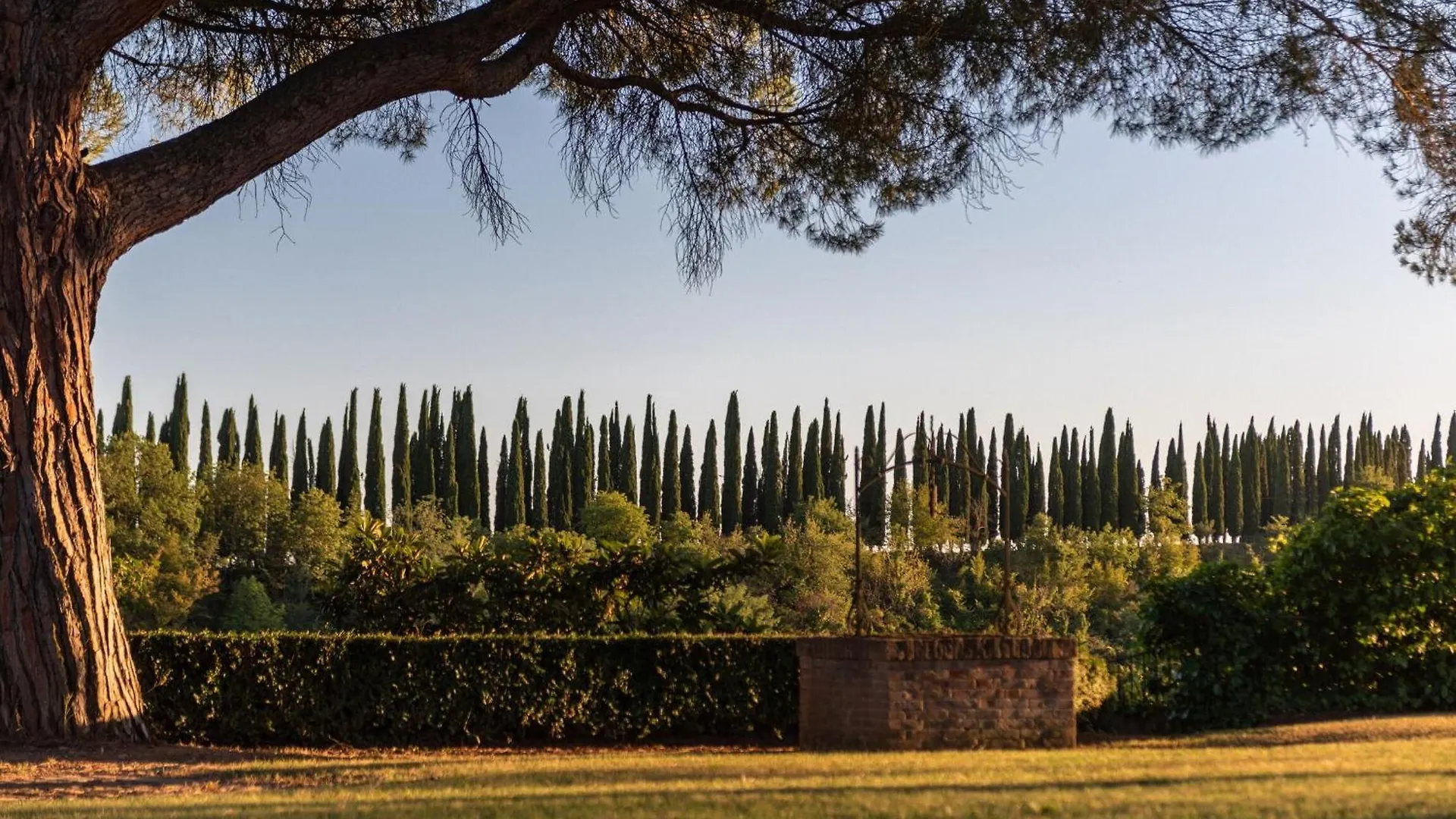 Green Hill Apartment In Tuscan Countryside Siena