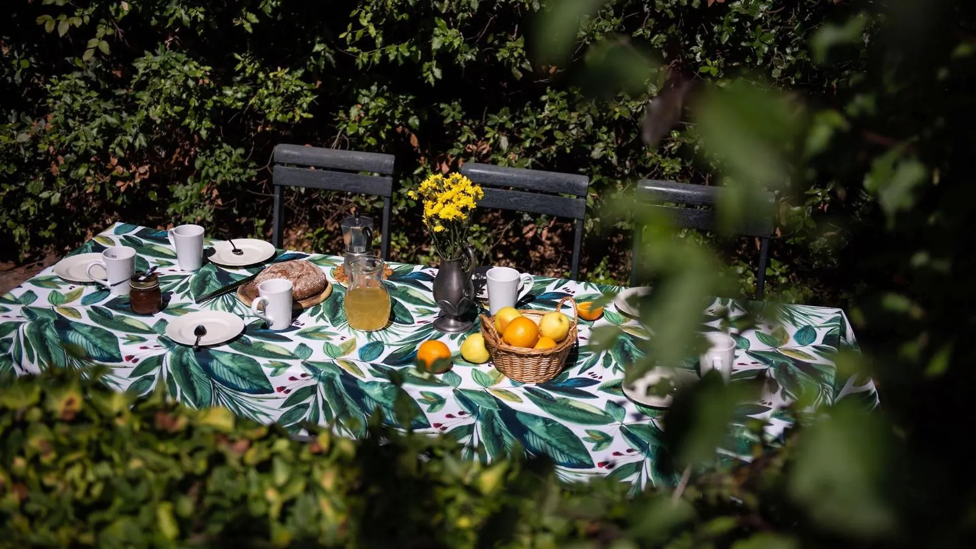 Green Hill Apartment In Tuscan Countryside Siena