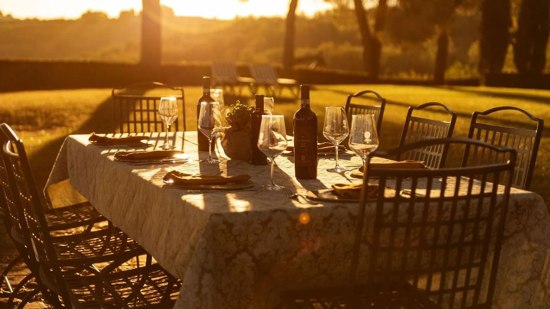 Green Hill Apartment In Tuscan Countryside Siena