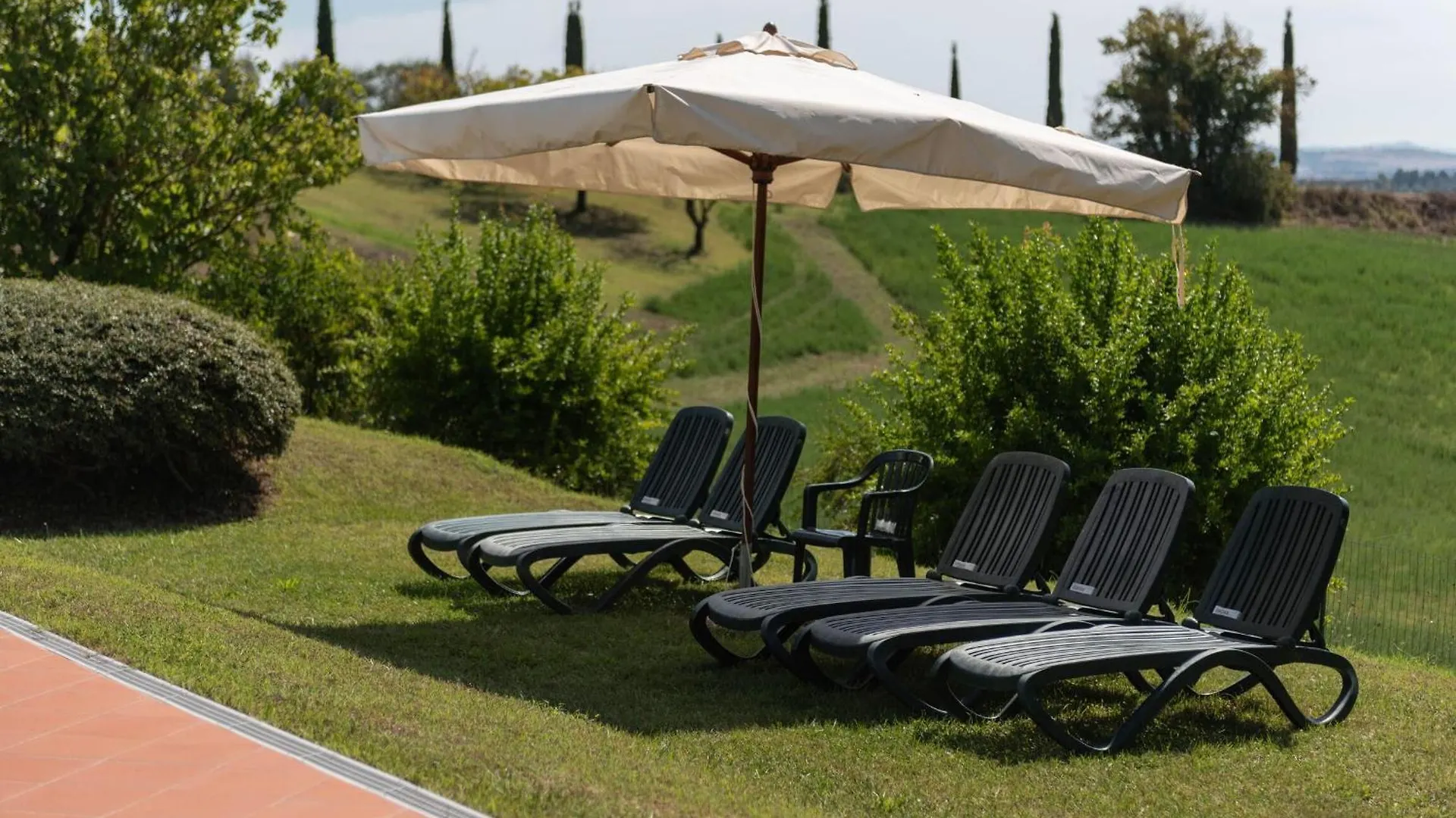 Green Hill Apartment In Tuscan Countryside Siena Italy
