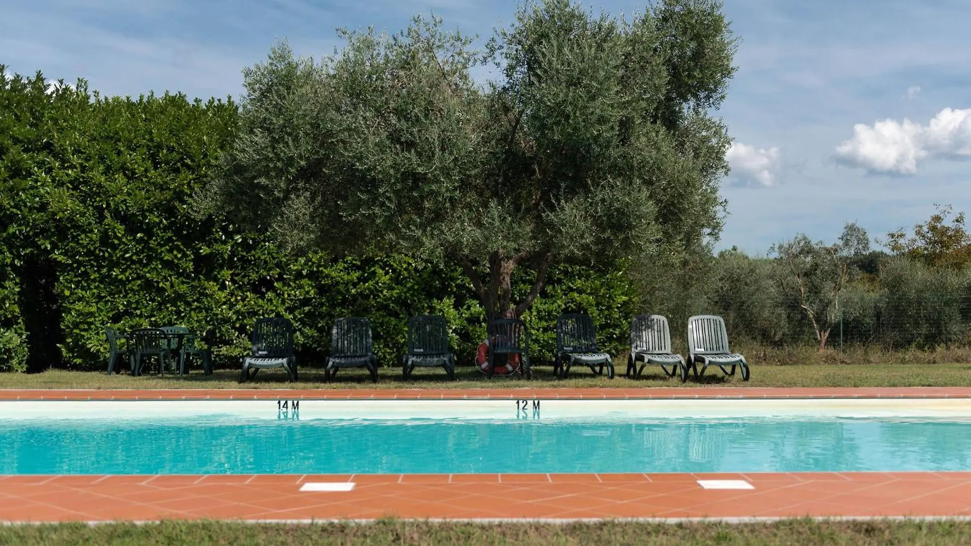 Green Hill Apartment In Tuscan Countryside Siena Italy