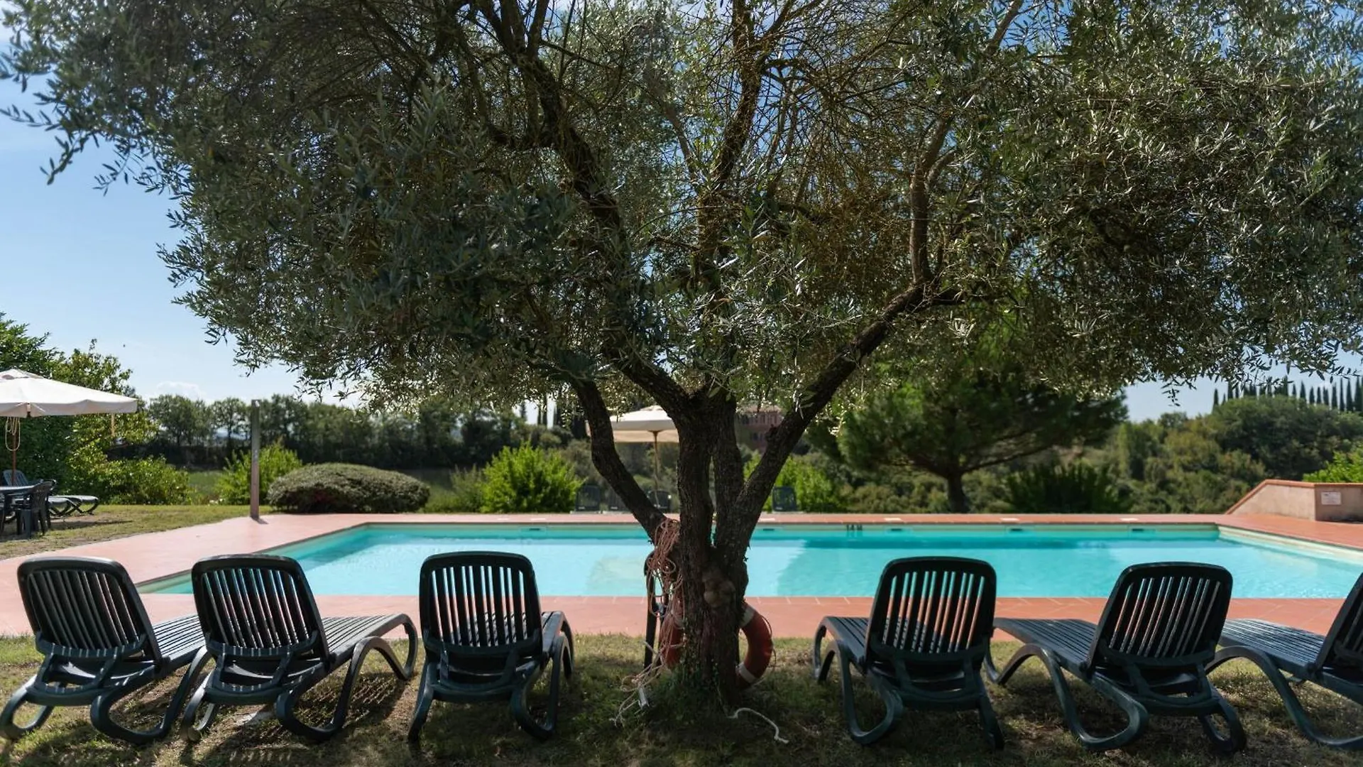 Green Hill Apartment In Tuscan Countryside Siena